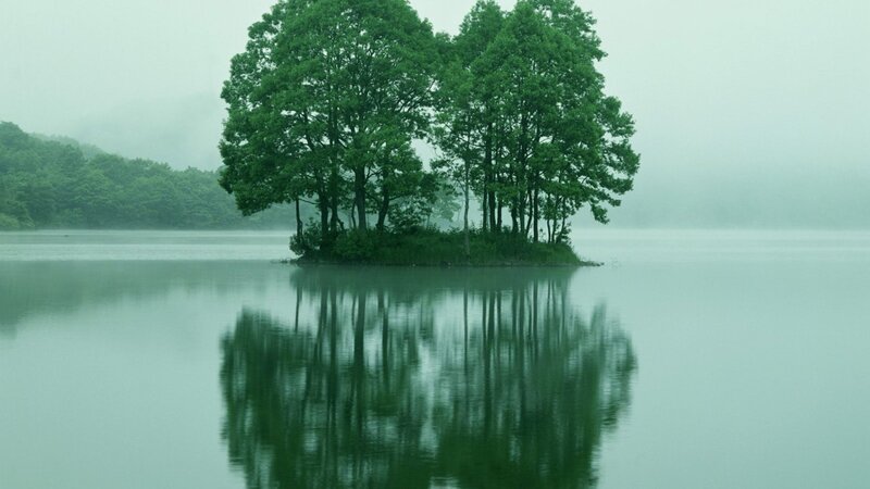 Trees on Small Island — Green, Serene