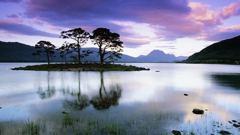 Trees on Small Island — Purple, Serene, Sunset