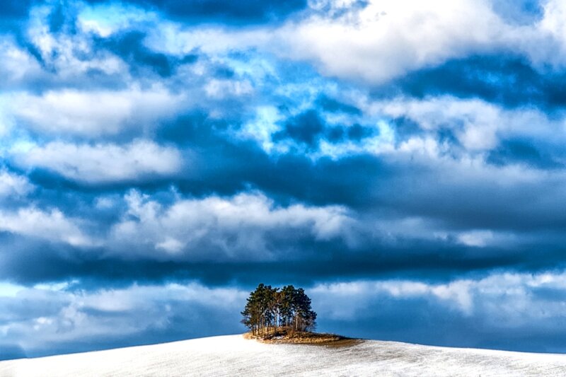 Trees on Snowy Hill — Blue, Dramatic