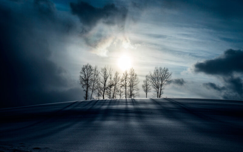 Trees on Snowy Hill — Blue, Dramatic, Winter