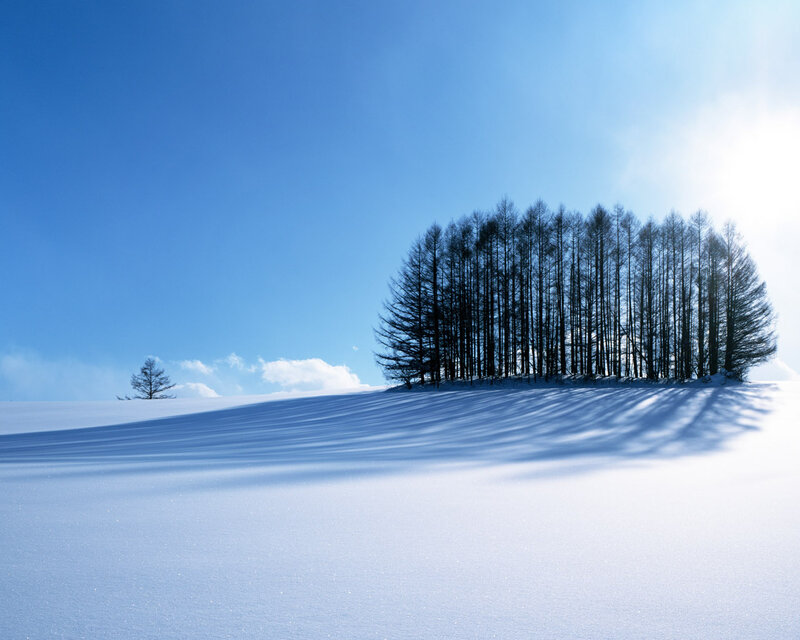 Trees on Snowy Hill — Blue, Serene, Winter, Photograph, Snow, Sky, Cloud