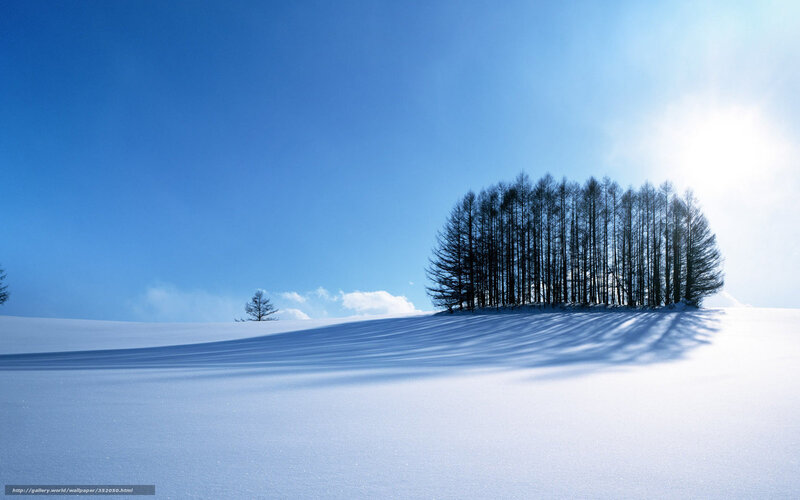 Trees on Snowy Hill — Blue, Serene, Winter, Photograph, Snow, Sky, Clouds