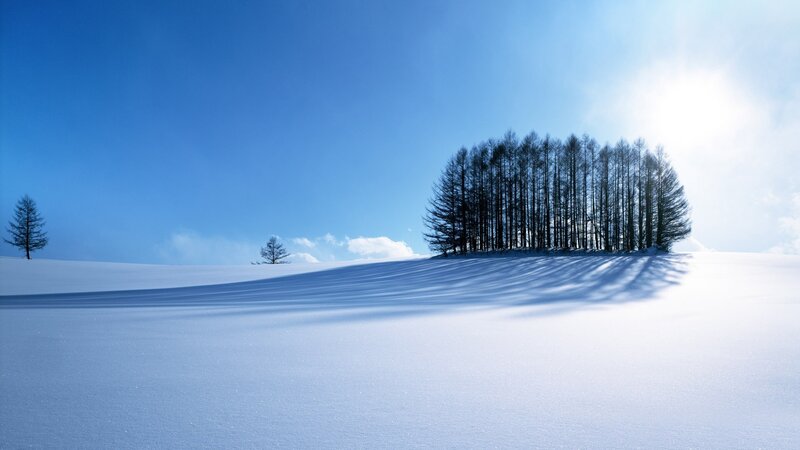Trees on Snowy Hill — Blue, Serene, Winter, Photograph, Snow, Sky, Sun