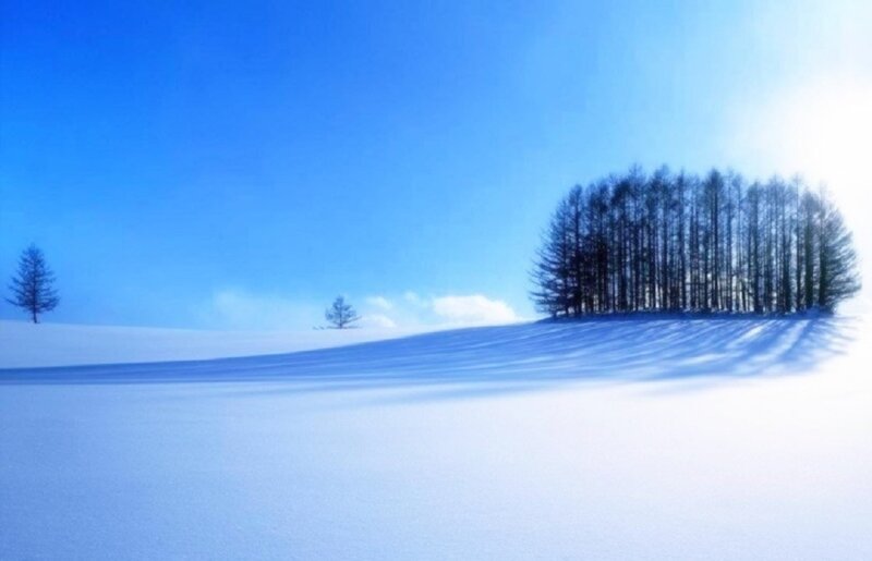 Trees on Snowy Hill — Blue, Serene, Winter, Photograph