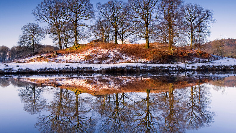 Trees on Snowy Hill — Blue