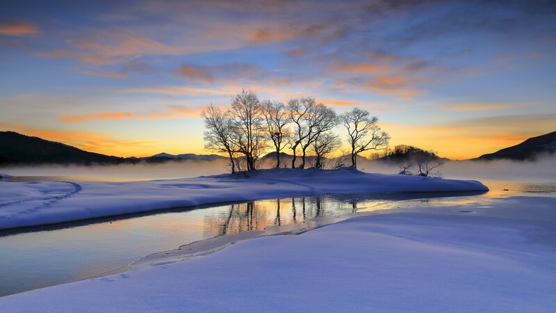 Trees on Snowy Island — Blue