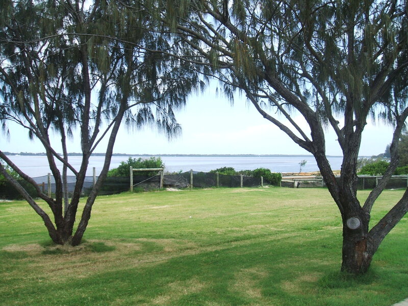 Trees Overlooking Water
