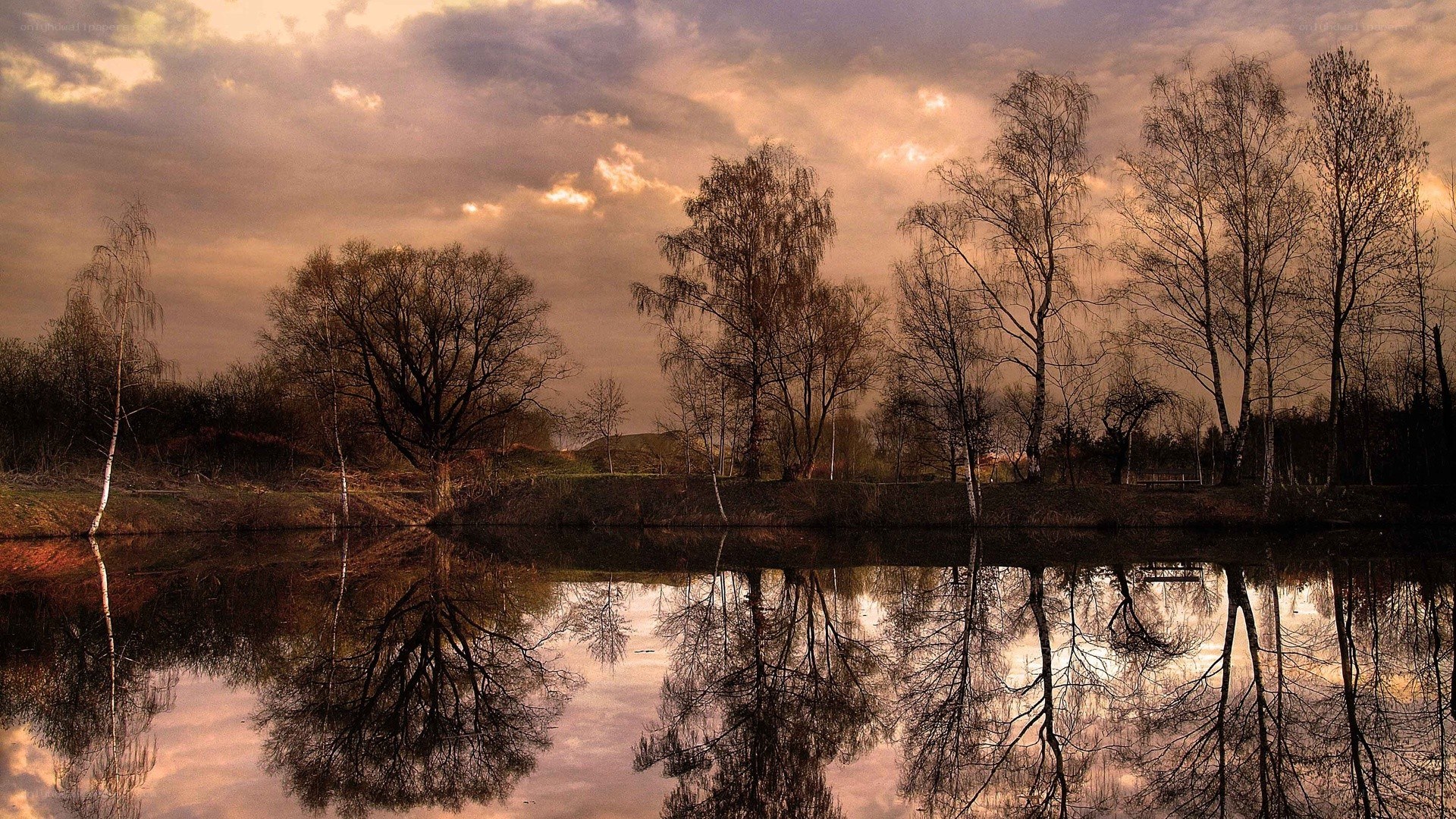 Trees reflected in a calm lake