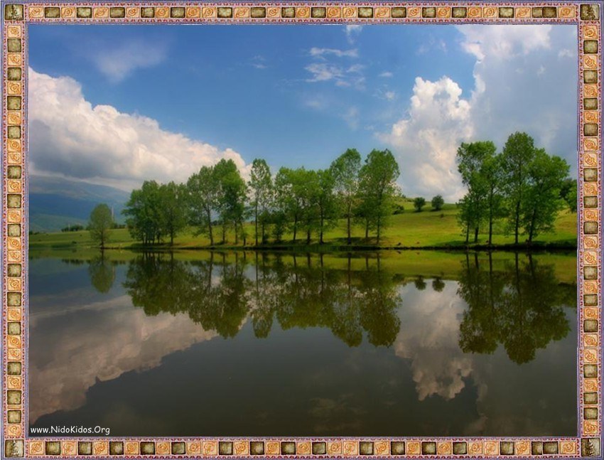 Trees reflected in a calm lake