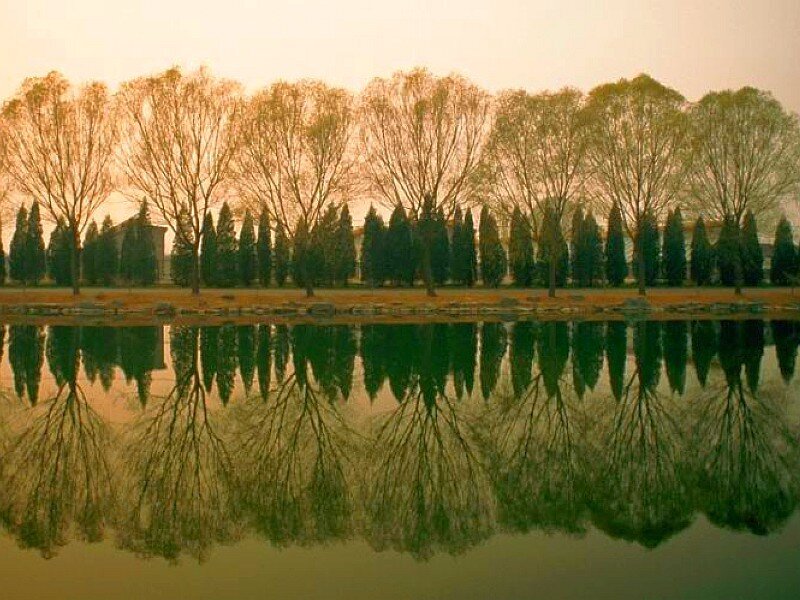Trees reflected in a calm lake