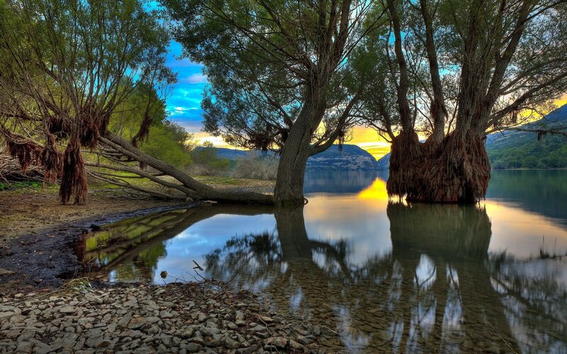 Trees reflected in a lake at sunset