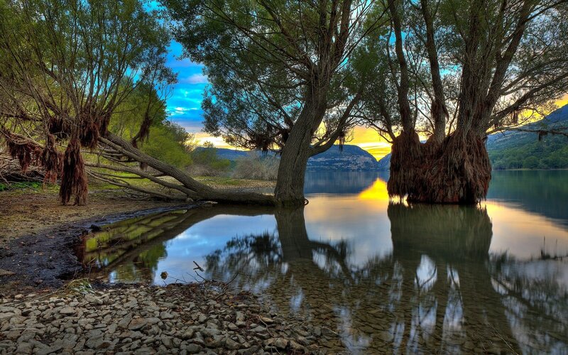 Trees reflected in a lake at sunset