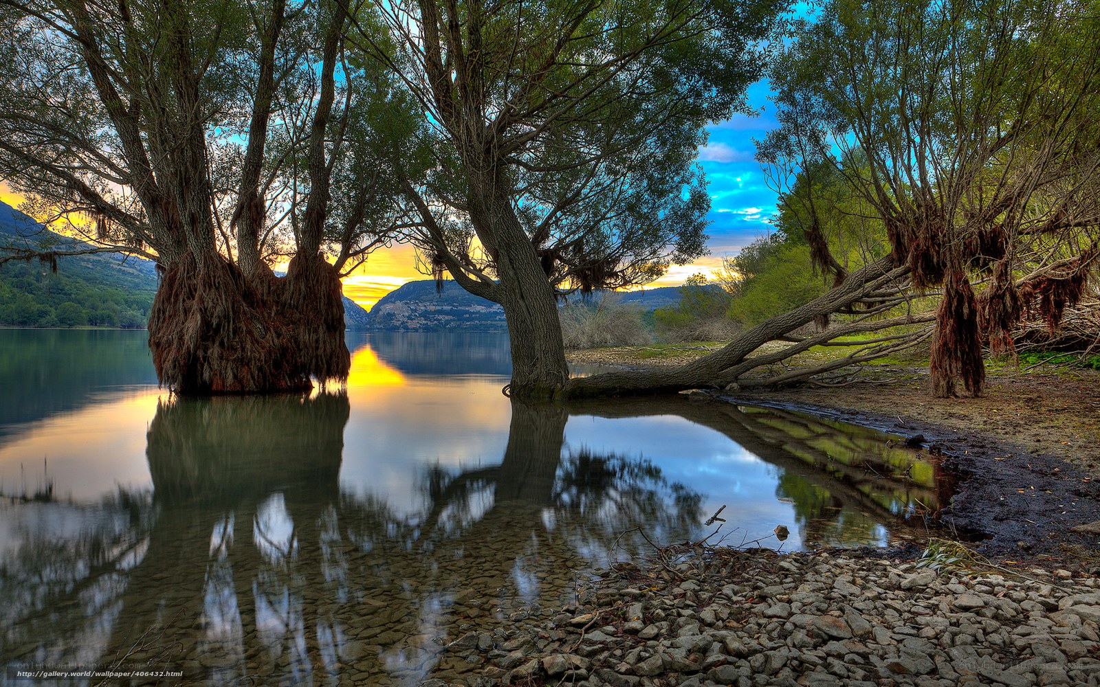 Trees reflected in a lake at sunset