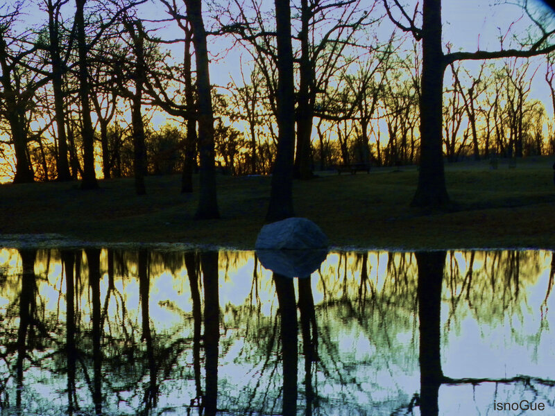 Trees reflected in a pond at sunset