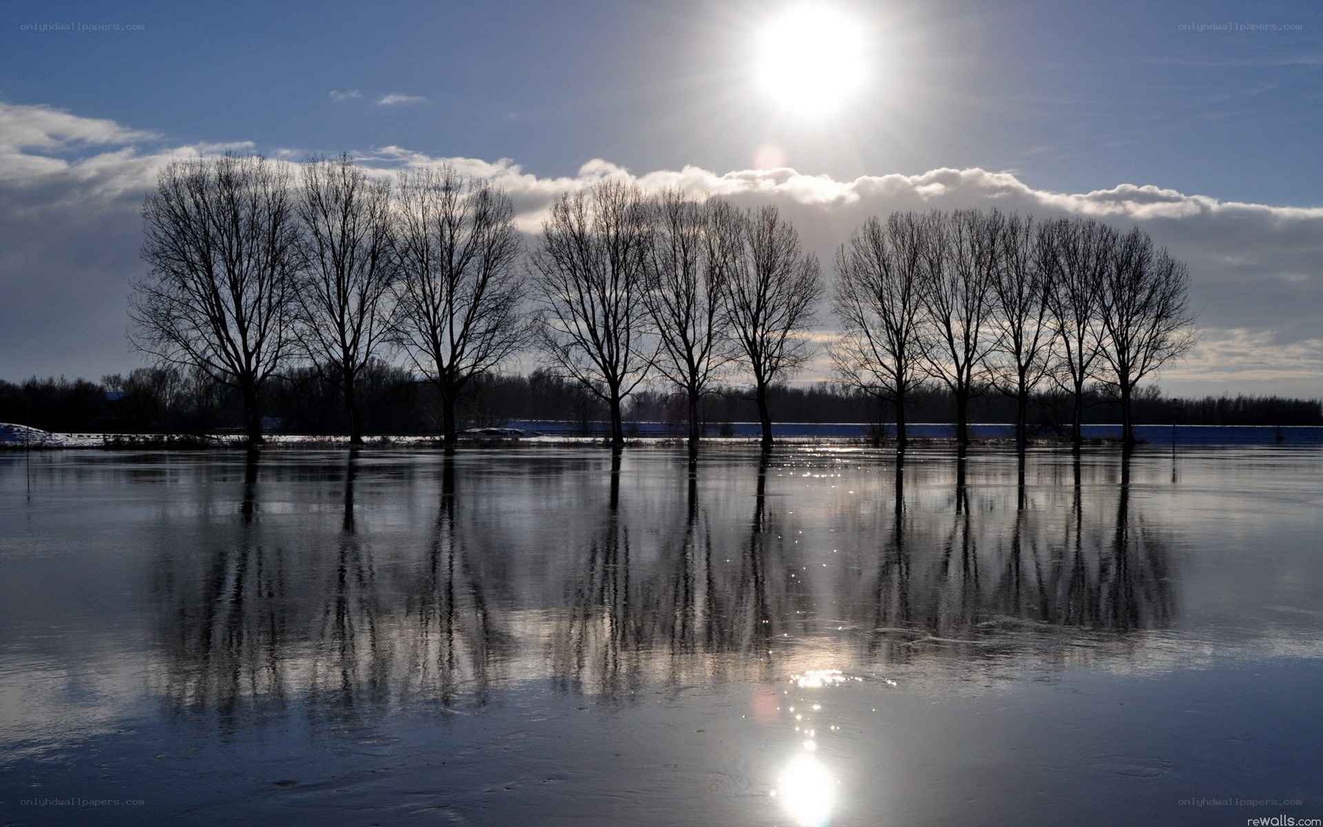 Trees reflected in flooded field