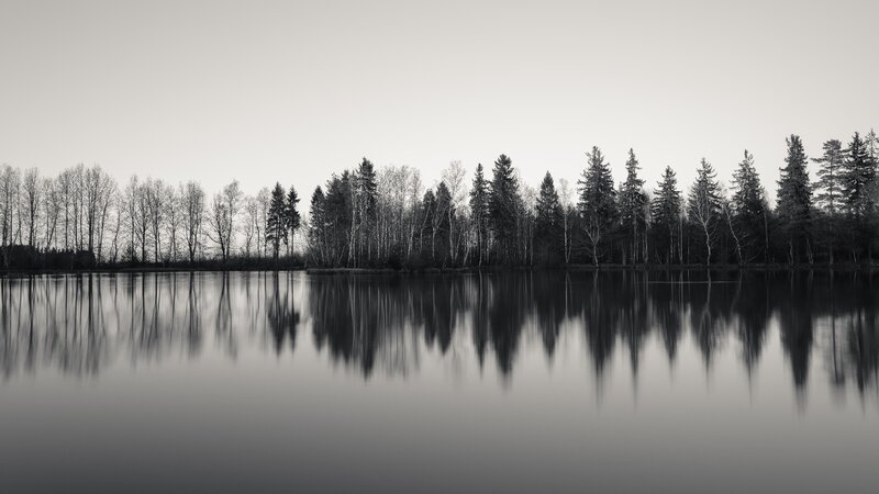 Trees Reflected in Lake — Black