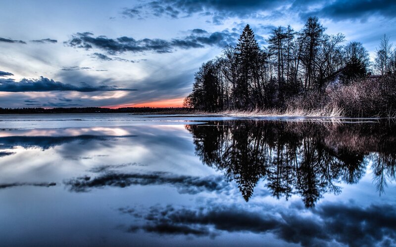 Trees Reflected in Lake — Blue, Dramatic, Sunset, Photograph, Sky