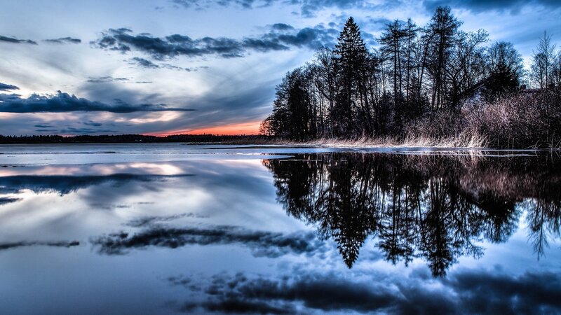 Trees Reflected in Lake — Blue, Dramatic, Sunset