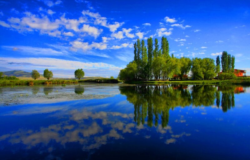 Trees Reflected in Lake — Blue, Serene, Afternoon, Photograph