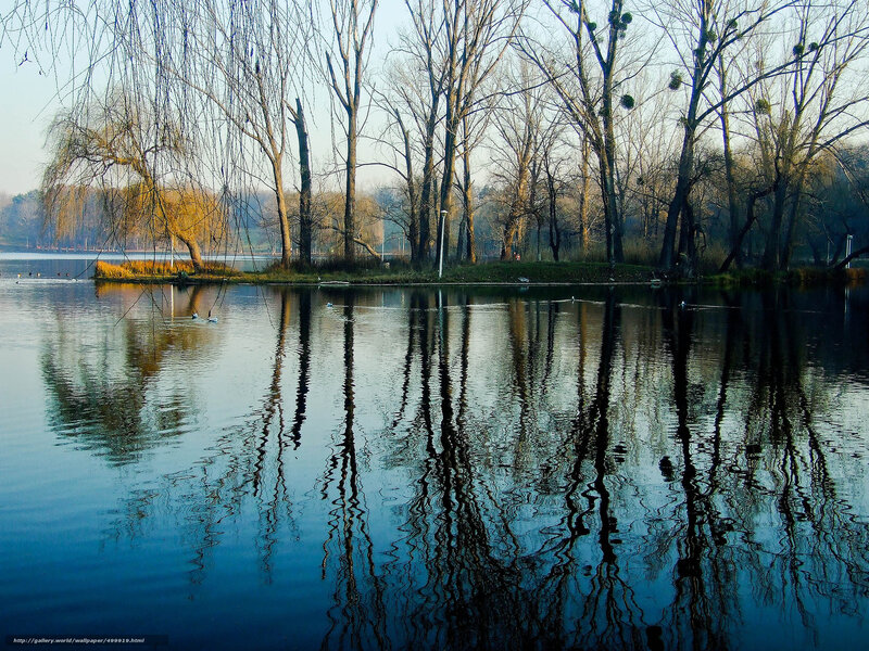 Trees Reflected in Lake — Blue, Serene, Autumn