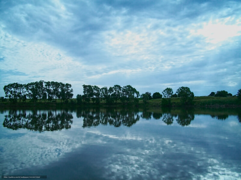 Trees Reflected in Lake — Blue, Serene, Morning, Photograph, Clouds