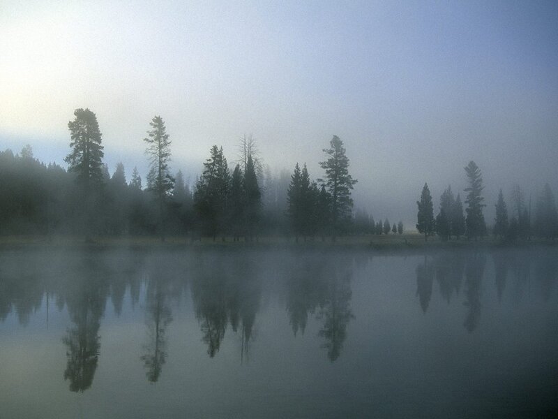 Trees Reflected in Lake — Blue, Serene, Morning