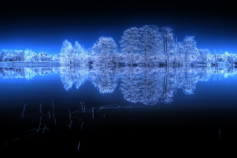 Trees Reflected in Lake — Blue, Serene, Night