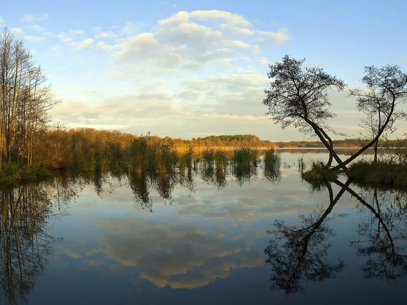 Trees Reflected in Lake — Blue, Serene, Sunset, Photograph, Clouds