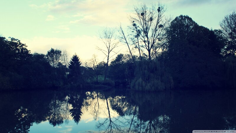 Trees Reflected in Lake — Blue, Serene, Sunset, Photograph, Sky, Reflection