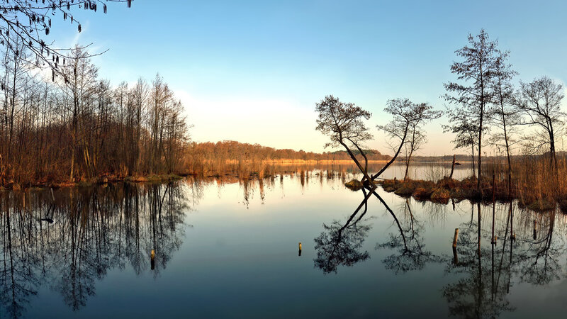 Trees Reflected in Lake — Blue, Serene, Sunset