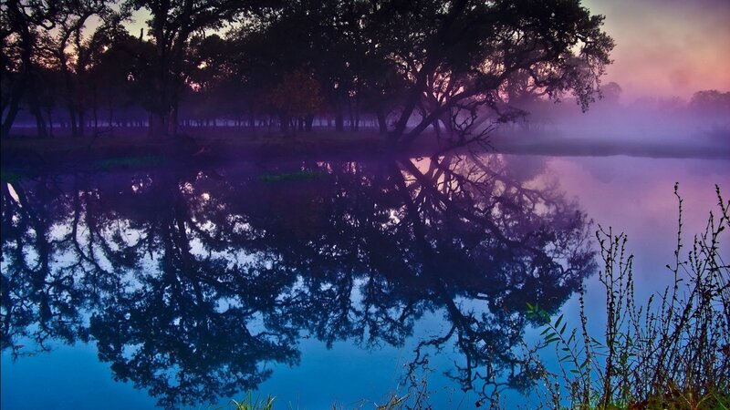 Trees Reflected in Lake — Blue, Serene