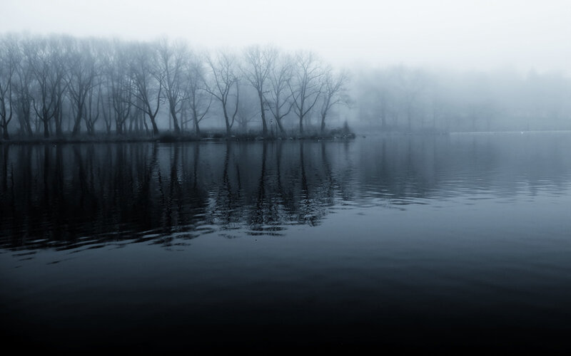 Trees Reflected in Lake — Blue, Somber