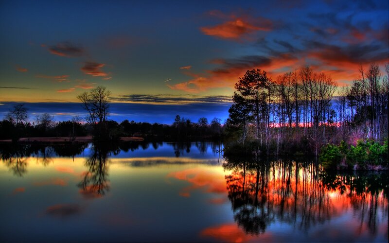 Trees Reflected in Lake — Blue