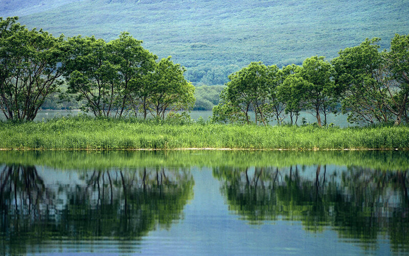 Trees Reflected in Lake — Green, Serene, Afternoon