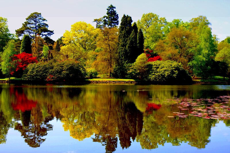 Trees Reflected in Lake — Green, Serene, Autumn