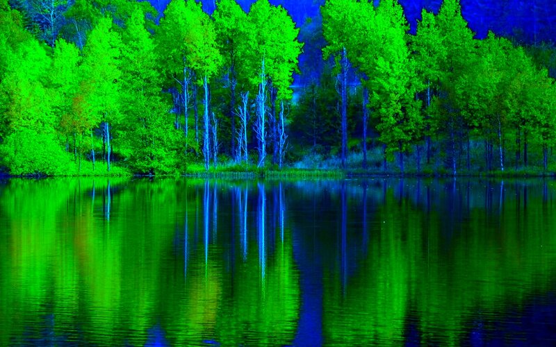 Trees Reflected in Lake — Green, Serene, Night