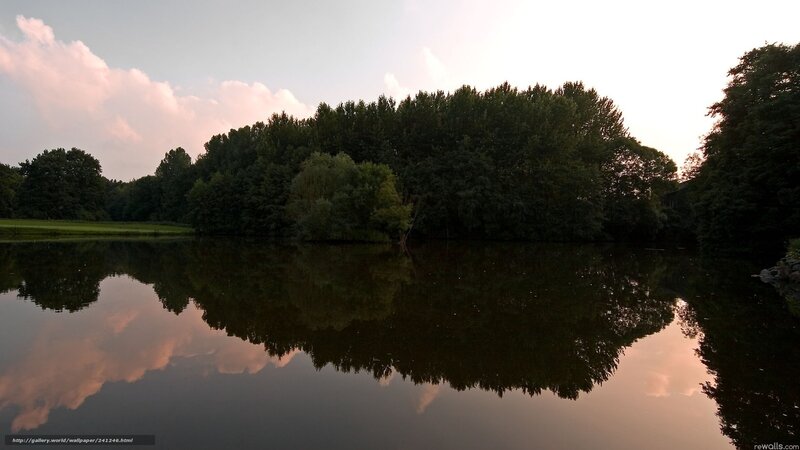 Trees Reflected in Lake — Green, Serene, Sunset