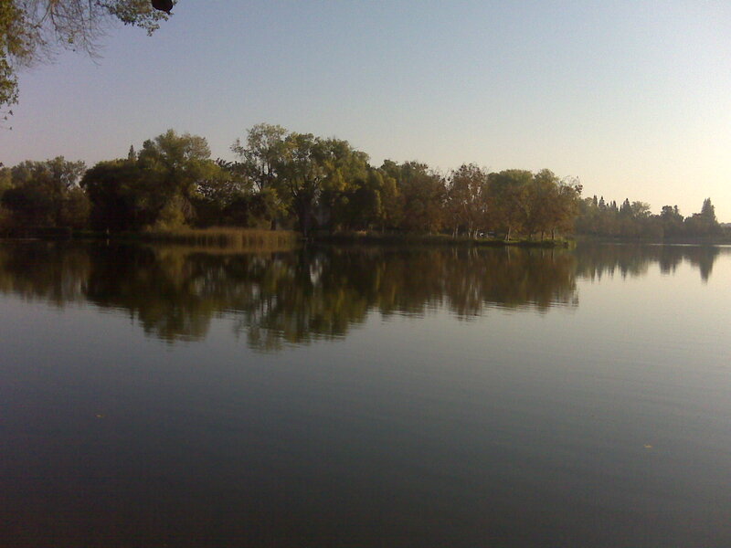 Trees Reflected in Lake — Green, Serene