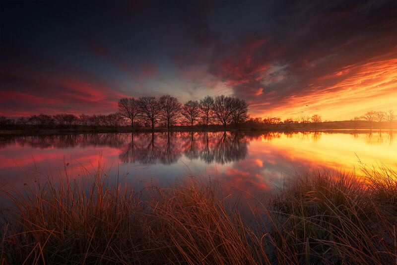Trees Reflected in Lake — Orange, Dramatic