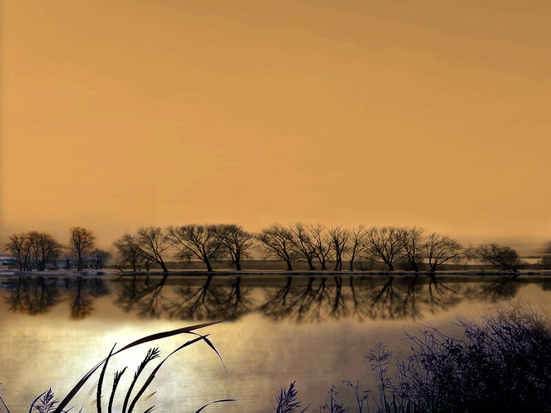 Trees Reflected in Lake — Orange