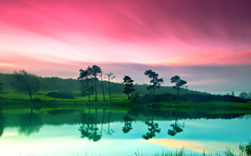 Trees Reflected in Lake — Pink