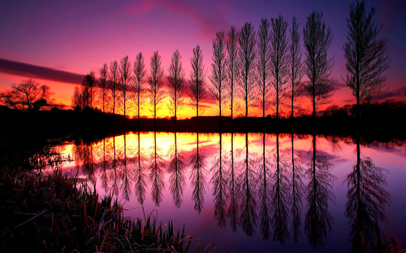 Trees Reflected in Lake — Purple, Dramatic