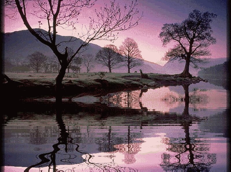 Trees Reflected in Lake — Purple, Serene, Sunset
