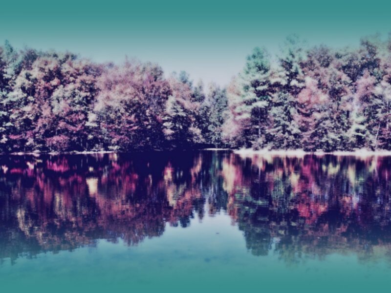 Trees Reflected in Lake — Teal