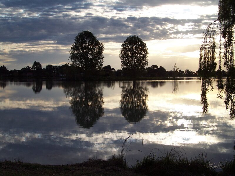 Trees Reflected in Lake