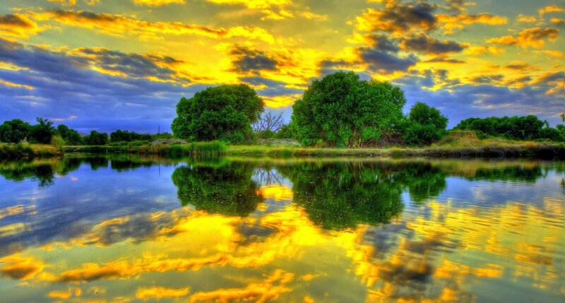Trees Reflected in Lake — Yellow