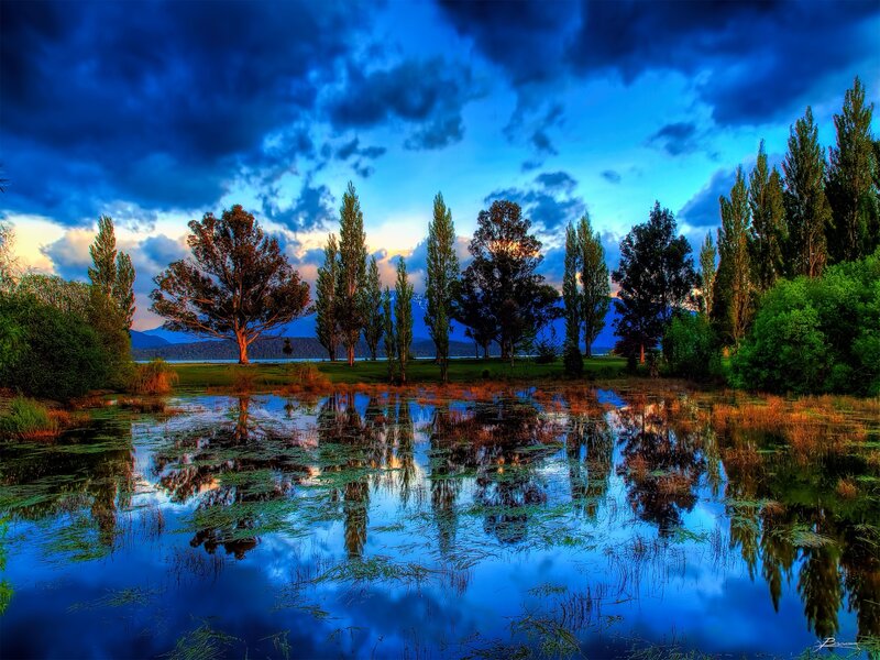 Trees Reflected in Pond — Blue, Dramatic