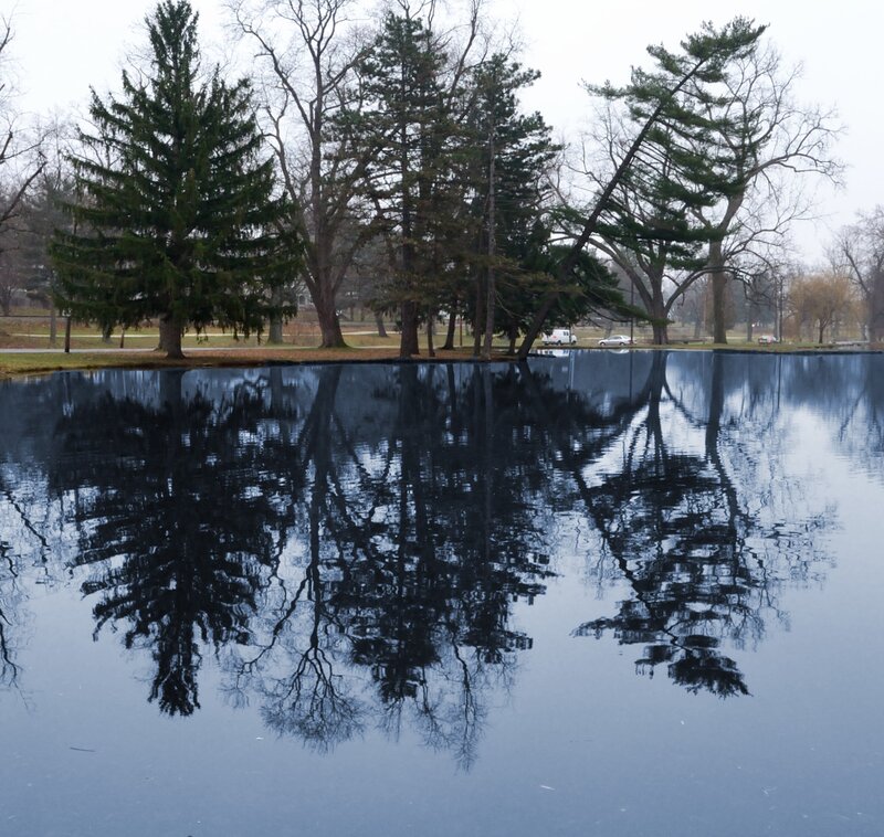 Trees Reflected in Pond — Blue
