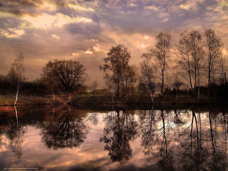 Trees Reflected in Pond — Brown, Dramatic