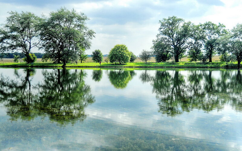 Trees Reflected in Pond — Green, Serene